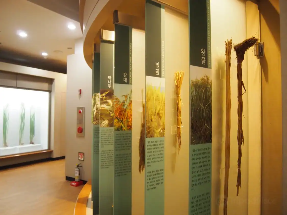 Hotel in zona Hwamunseok Cultural Center