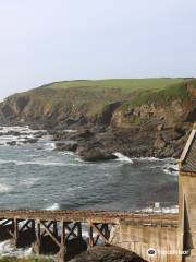 Lizard Point