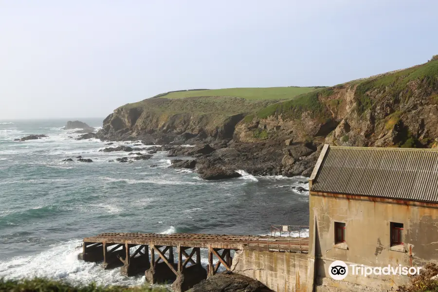 Lizard Point