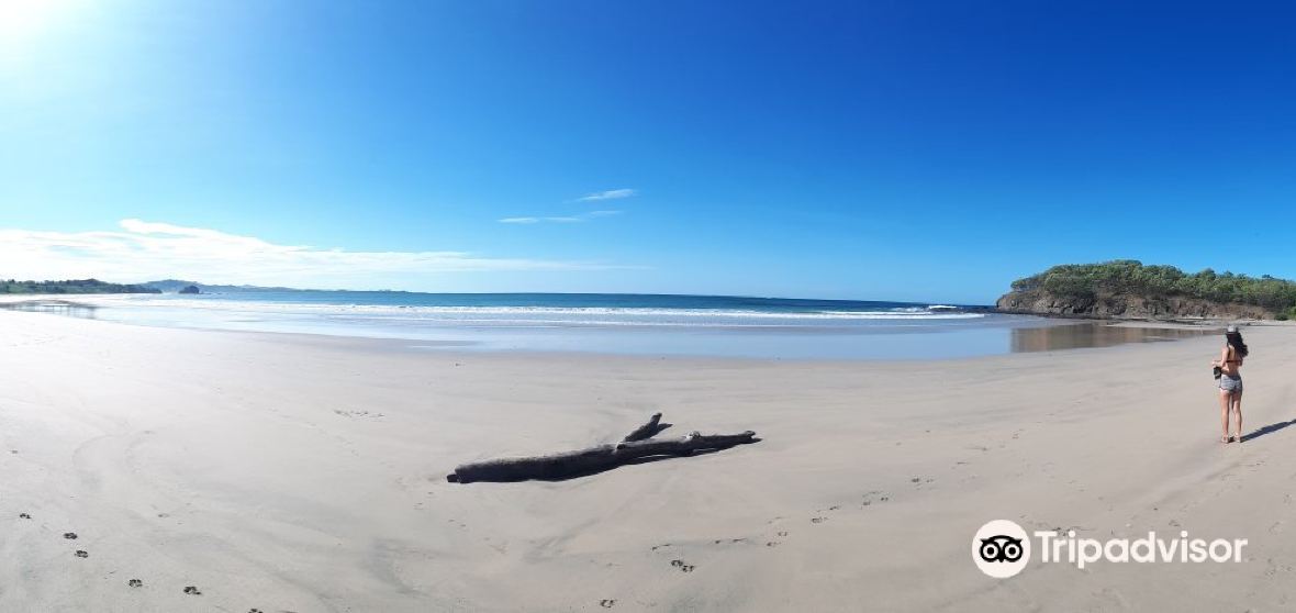 Things to Do in Bahia Ballena in 2024 Top Attractions, Local Food