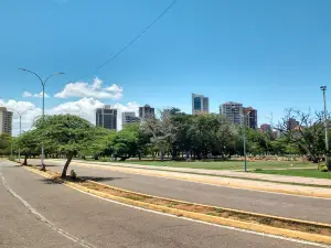 La vereda del lago Maracaibo