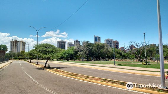 La vereda del lago Maracaibo