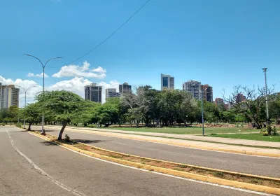 La vereda del lago Maracaibo