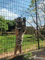 Heythrop Zoological Gardens