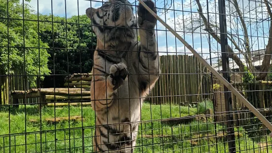 Heythrop Zoological Gardens