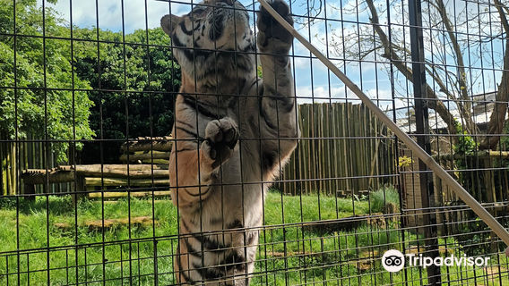 Heythrop Zoological Gardens