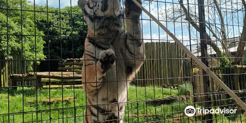 Heythrop Zoologicial Gardens