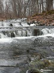 The Bruce Trail