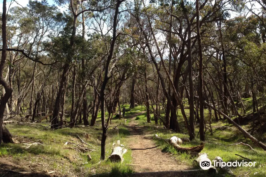 Blackhill Reserve Car Park