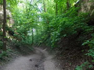 Die Schlucht der Königin Hedwig