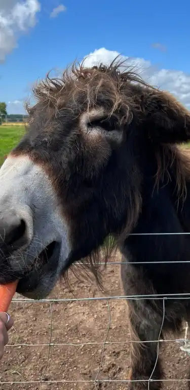 英國安格斯的2 星級飯店