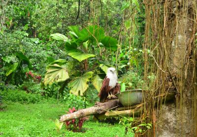 Philippine Eagle Research and Nature Center