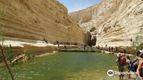 Avdat National Park