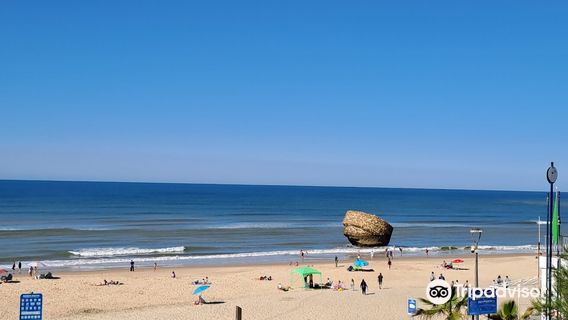 Tapón De Matalascañas