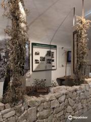 Museo della Civilta dell'Ulivo