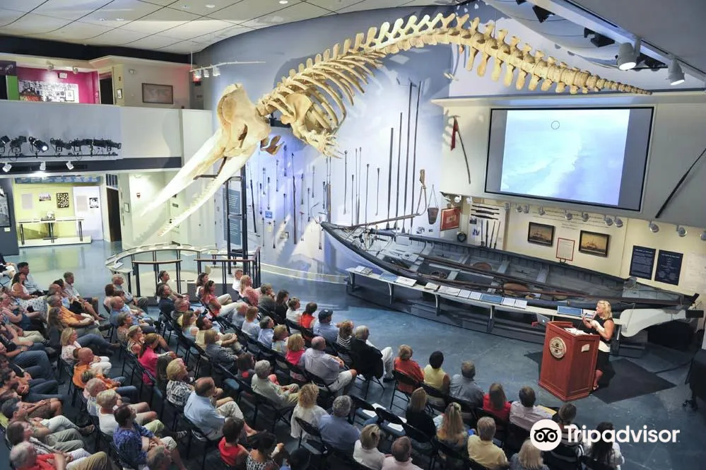 3_Музей китобойного промысла