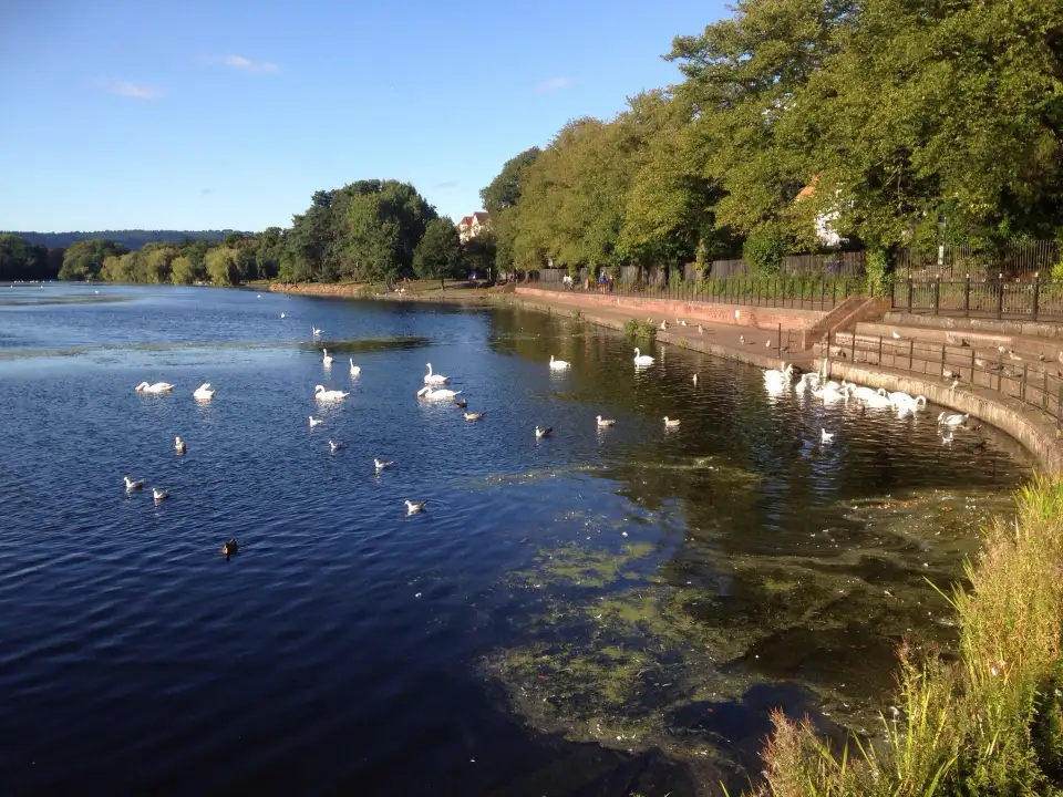 5_Roath Park