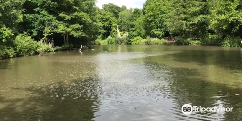 Holly Hill Woodland Park