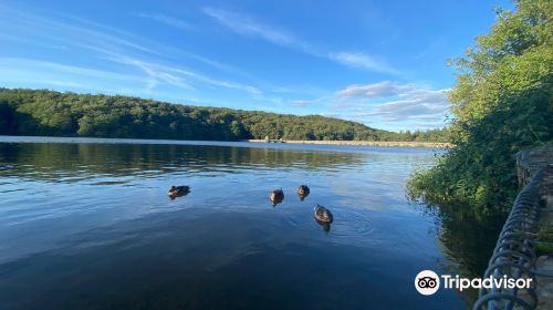 Linacre Reservoirs