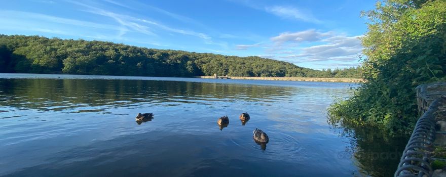Linacre Reservoirs