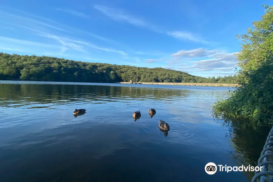 Linacre Reservoir