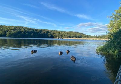 Linacre Reservoirs