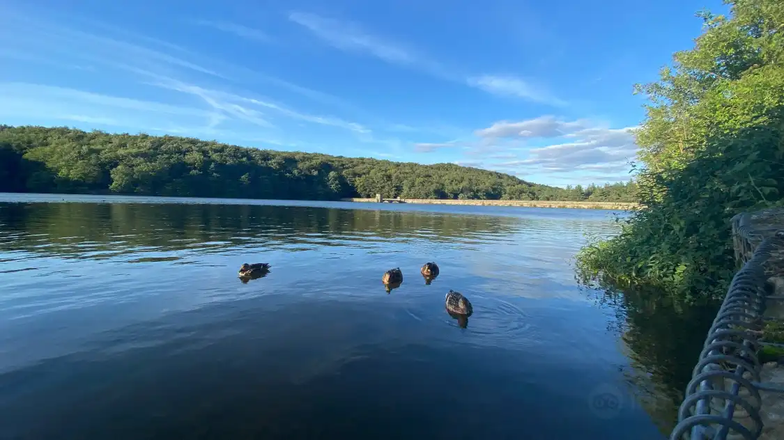 Hotels near Linacre Reservoirs