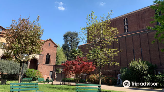 Chiesa della B.V. Immacolata e S.Antonio