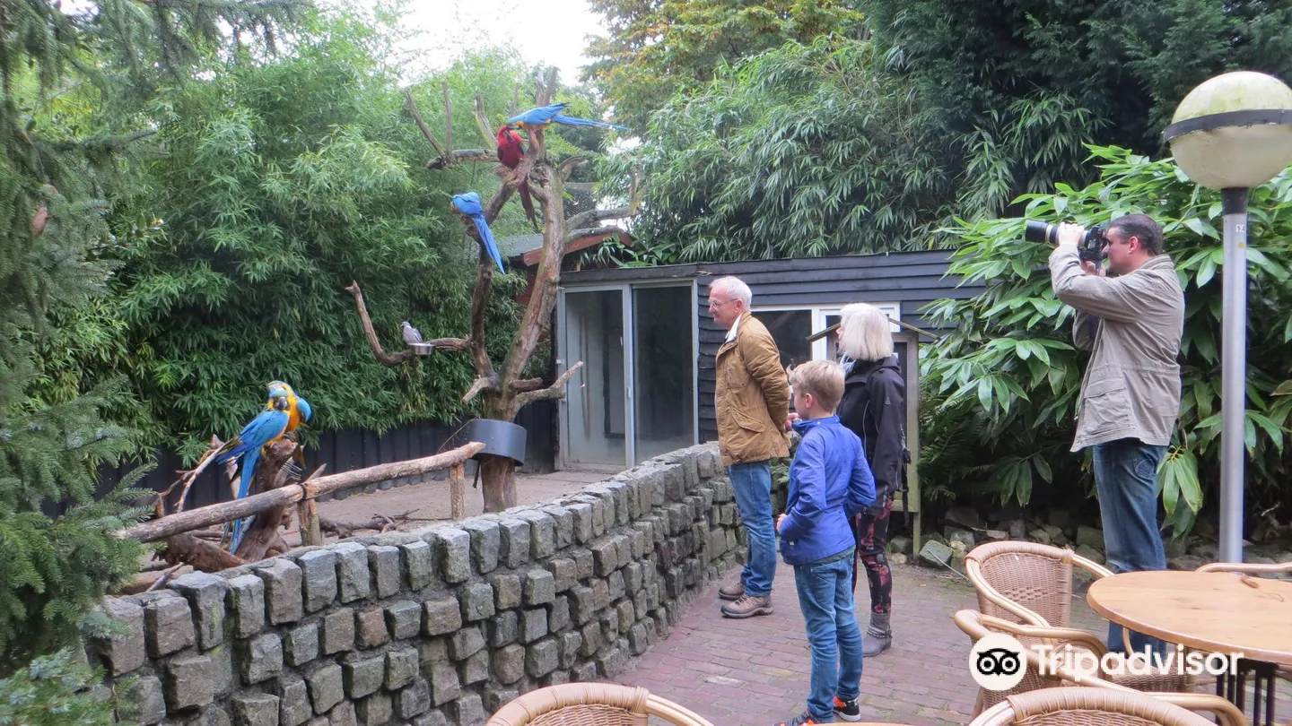 2_Zoopark The Oliemeulen