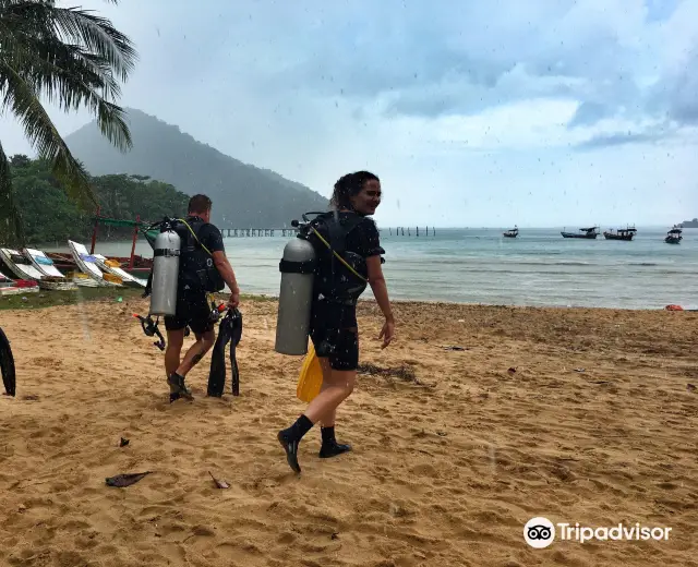 Diving in Sihanoukville