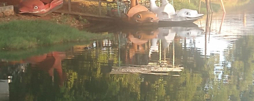 Municipal Park Lara Guimarães