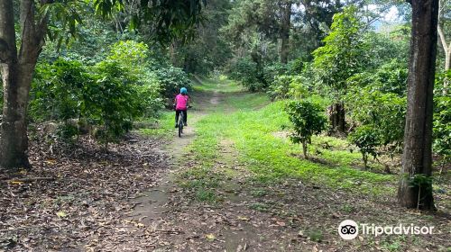 Ecoparque El Espino