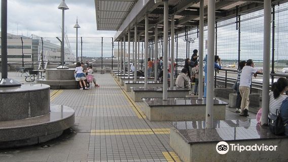 Narita