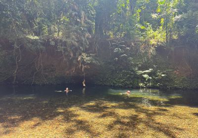 Cape Trib Farm - Fruit Tasting and B&B