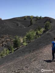 Go-Etna - Mount Etna Tours