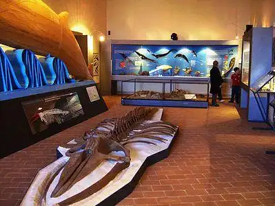 Hotels in Castell'Arquato