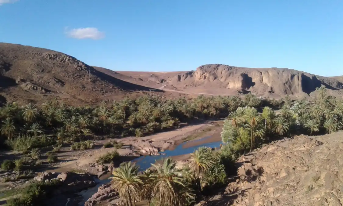 Hotels near Oasis Fint