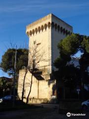 Torre Medicea