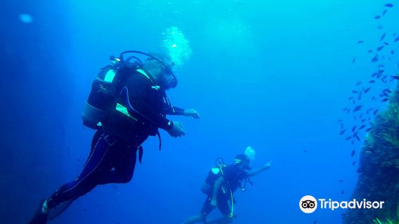 Ras Adar Diving Club