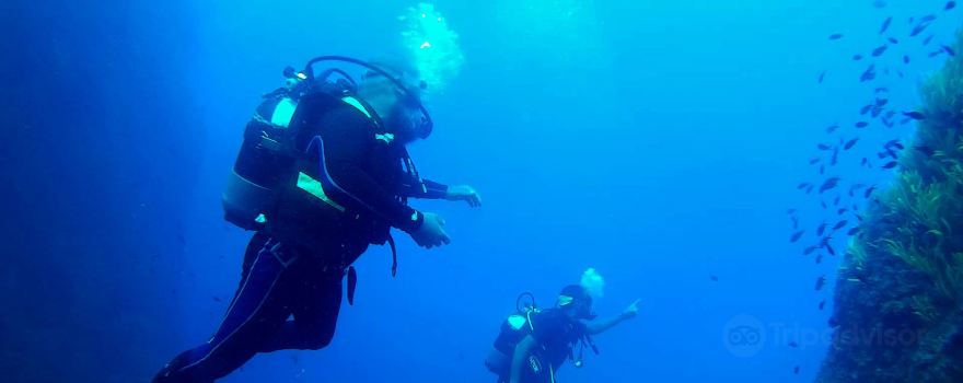 Ras Adar Diving Club