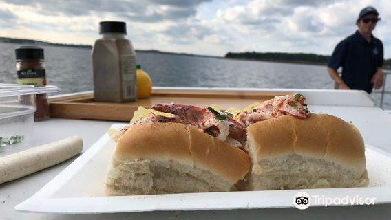 Island Boat Adventures