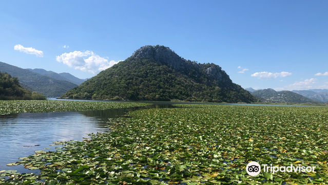 Zabes Holidays Boats