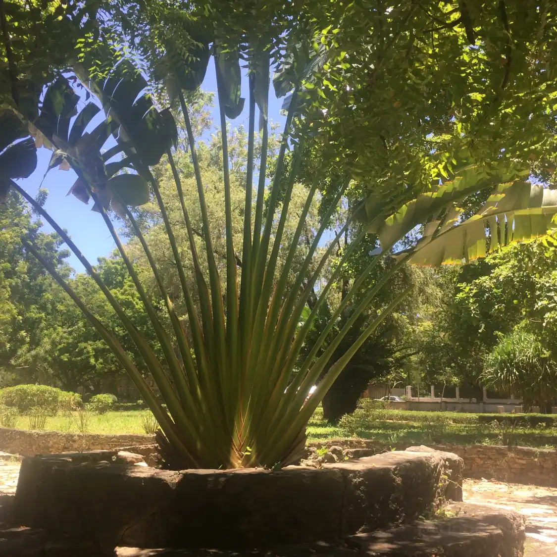 Hotels near Botanical Garden