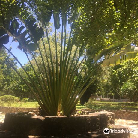 Botanical Garden