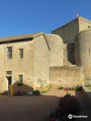 Castle Saint Hugues