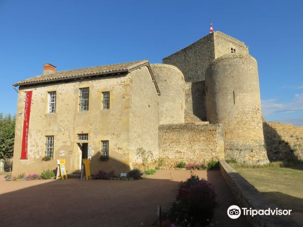 Castle Saint Hugues