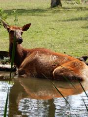 Zoo New York