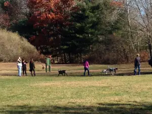 Southbury Dog Park