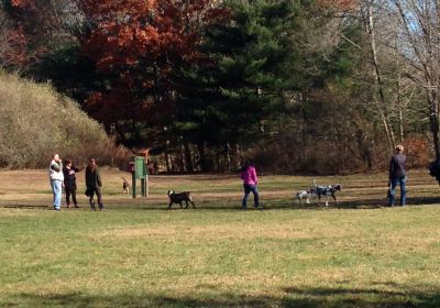 Southbury Dog Park