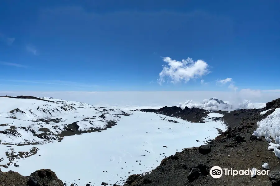 Trekking Hero - Kilimanjaro Day Hike